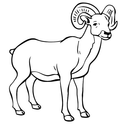 ram coloring pages    print