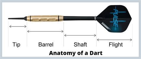 anatomy   dartboard darts  overview   parts   functions explained