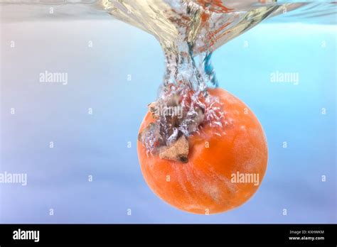 persimmon latin diospyros splash  water stock photo alamy