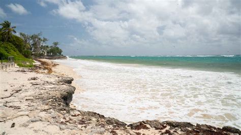 Silver Sands Beach Best Beaches In Barbados Getting