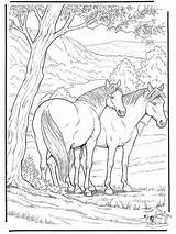 Coloring Pages Wild West Printable Town Adult Library Clipart Realistic Farm sketch template