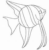 Colorat Pestisori Poissons Pesti Peste Poisson Animale Planse Desene Peces P22 Fise Pesci Pesce Caracatita Fisch Pez Primiiani Pecesitos Gradinita sketch template