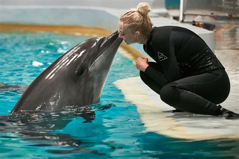 captive dolphins    play  humans  pavlovs dogs