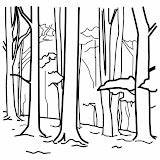 Coloring Forest Bosque Pages Post sketch template