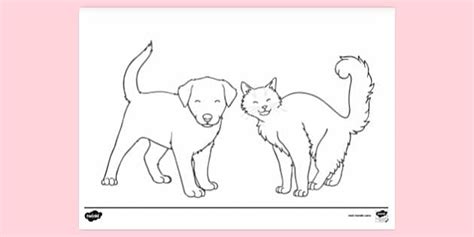 cute dog  cat template colouring sheet twinkl