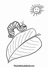 Caterpillar Hungry Coloring Pages Leaf Printable Entitlementtrap Awesome Very Sheets Butterfly Kids sketch template