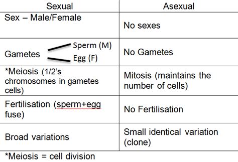 Seb Biology 3 1 Sexual And Asexual Reproduction
