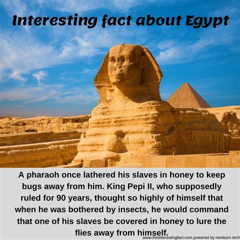 top 10 interesting facts about ancient egypt that might amaze you