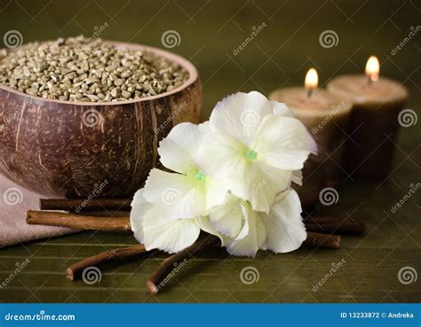 spa  green bamboo stock photo image  mineral therapy