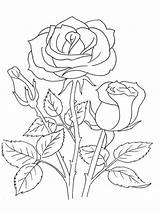Rose Coloring Pages Flowers Flower Print Drawing Color Printable Books Tattoo Kids Embroidery Recommended Visit sketch template