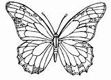 Butterfly Coloring Pages Detailed Hard Colouring Printable Cute Monarch Getcolorings Intricate Getdrawings Colorings Color sketch template