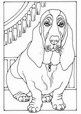 Basset Coloring Hound Pages Dog Edupics Getcolorings Colouring Print Color Adult Printable Large sketch template