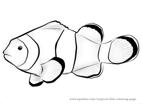 clownfish outline clipart