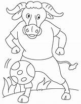 Bull Coloring Angry Kids sketch template