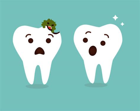 dental cavity illustrations royalty free vector graphics and clip art