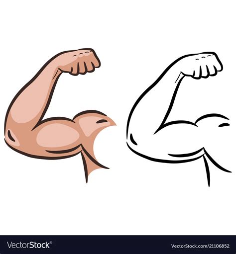 strong muscle arm sketch  royalty  vector image
