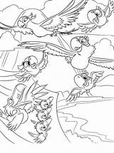 Papegaaien sketch template