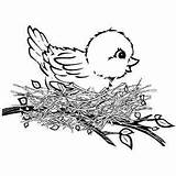 Coloring Pages Birds Cute Baby Printables sketch template
