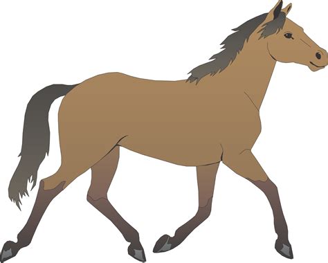 picture  cartoon horse clipart