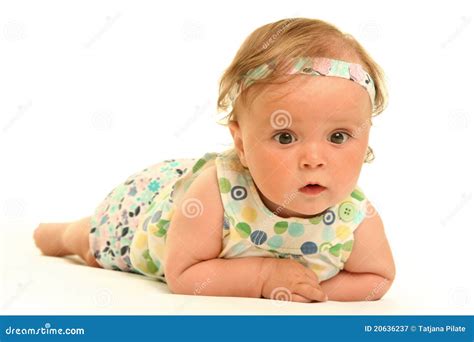 baby  white stock image image  calm daughter young