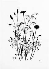 Wildflower Artfinder Grasses Screenprint Edwards Kath sketch template