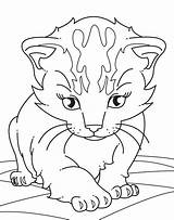 Baby Becuo Katzen Azcoloring Gemerkt Besuchen Gatito sketch template