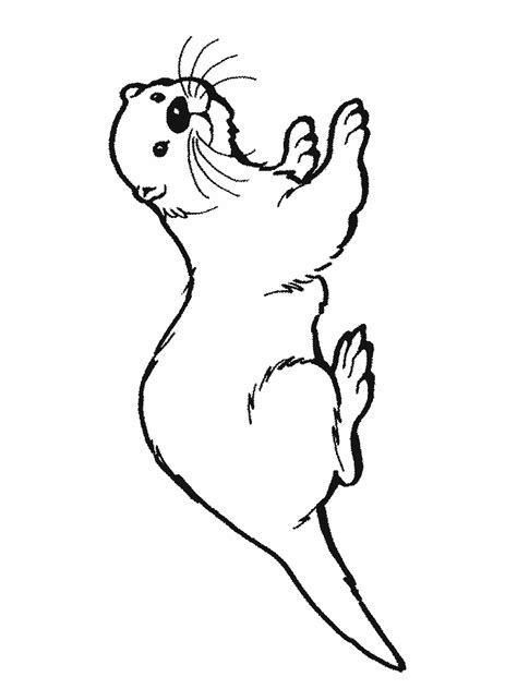 animal drawings coloring picture  otter child coloring
