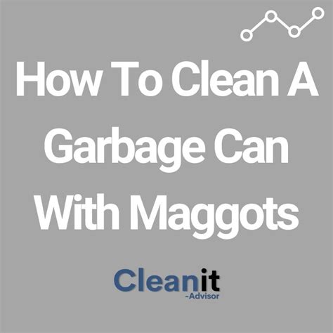 clean  garbage   maggots   clean