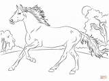 Coloring Thoroughbred Pages Horse Getcolorings Horses sketch template