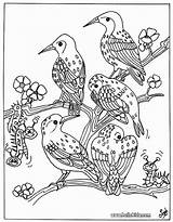 Pajaros Coloriage Ausmalen Vogel Paon Pajaro Oiseaux Aves Pintar Pájaros Hellokids Coloriages Drucken Paginas Greatestcoloringbook Adultos Coloração sketch template