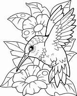 Flower Hummingbird sketch template