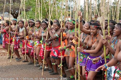 Beautiful Zulu Maidens Attending The Reed Dance Africa