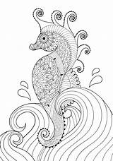 Seahorse Zeepaardje Adult Cavalluccio Golven Zentangle Doodle sketch template