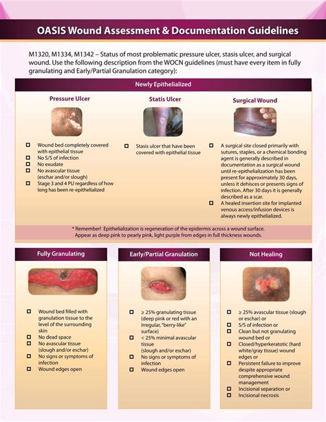 oasis wound assessment documentation guidelines   wound