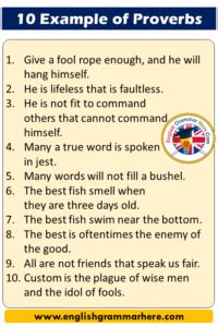 proverb proverb examples  definition english grammar