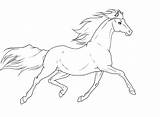 Horse Trotting Lineart Deviantart sketch template
