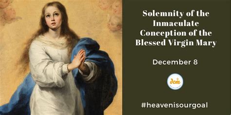 Solemnity Of The Immaculate Conception Of The Blessed