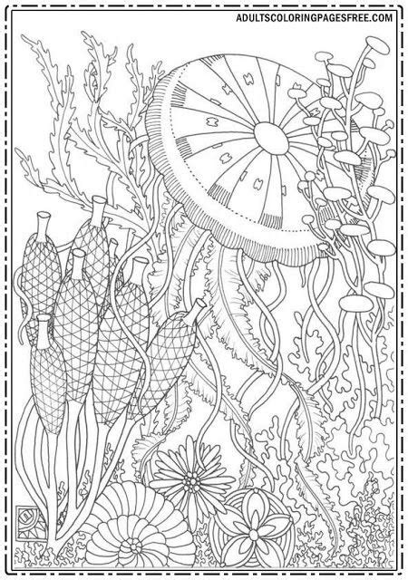images  nature coloring pages  adults  pinterest