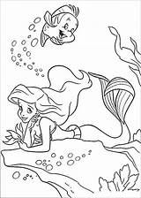 Arielle Meerjungfrau Malvorlagen Ausdrucken Prinzessinnen Malvorlage Prinzessin Princess Vorlagen Ausmalbild Filly Ausmalbildertop Dreaming Kleine Fish Hey sketch template