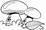 Mushroom Coloring Pages Trippy Colouring Mushrooms Drawing Ground Above Getdrawings Picolour sketch template