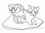 Cats Cat Coloring Two Pages Pillow Clipart Drawing Sketch Kittens Cliparts Print Clip Sketches Tree Library Colored Getdrawings Paintingvalley Clipartqueen sketch template
