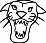 Tiger Coloring Face Wild Wecoloringpage Pages sketch template