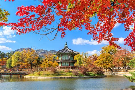 south korean tourism websites  travel pros