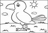 Coloring Pages Kids Birds Crow Application sketch template