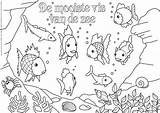 Kleurplaten Vis Zee Kleurplaat Mooiste Oceaan Windstreken Vier Vierwindstreken Vissen Zeepaardje Volwassenen Regenboog Hele Knutselen Octopus Ocean Downloaden Uitprinten Bezoeken sketch template