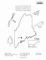 Maine Coloring Kids Pages Worksheets Teaching States United Fun Choose Board State Squared Learning sketch template
