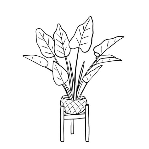 coloring pages  shrubs