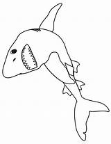 Coloring Shark Pages Sharks Kids Printactivities Real Cartoon Jaws Appear Printables Printed Navigation Print Only When Will Do Library Clipart sketch template