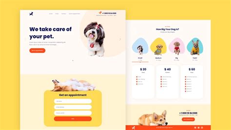 build  dog grooming website  react js  tailwind css youtube