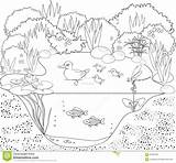 Pond Coloring Duck Stock Vector Illustration 97kb 1300 Preview sketch template